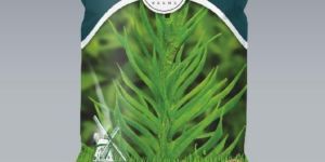 Guwar Krishna 786 Seeds