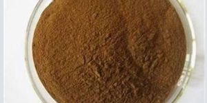 Vitex Agnus Extract