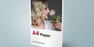 Flyer Printing Services