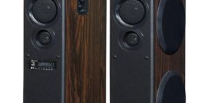 DM-8080BT Signature Series Tower Speaker