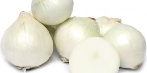 Fresh White Onion