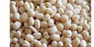 White Urad Dal