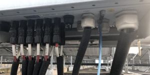 PG7 High Quality ROHS PG Series Standard Size Waterproof Nylon Cable Gland