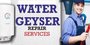 Geyser Repair Service