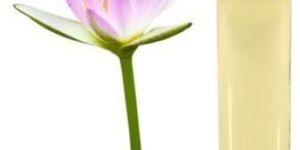 Lotus Essential Oil