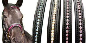 Horse Browband