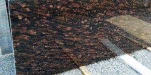 Brazil Brown Granite