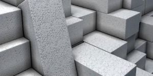 Fly Ash Bricks