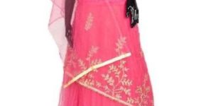 Silk and Net Lehenga Choli