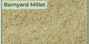 Barnyard Millet Seeds
