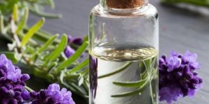 Lavender Essential Oil