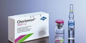 Choriomon HCG 5000iu