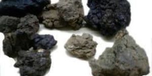 Shilajit Extract (Asphaltum)