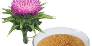 Silybum Marianum Extract 80%