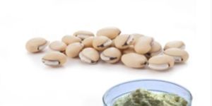 White Kidney Bean Extract Phaseolus Vulgaris