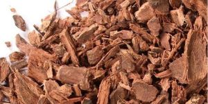 Yohimbine 95% (Pausinystalia Yohimbe)