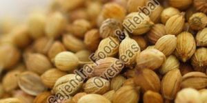 Coriander Seeds