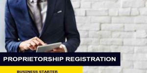 Business Registration Consultants