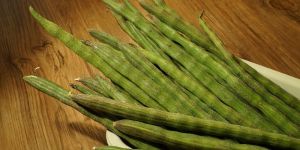 Organic Moringa/Drumstick