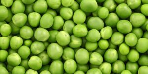 Fresh Green Peas
