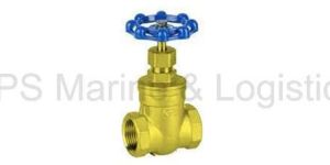 IS-1 Gun Metal Gate Valve