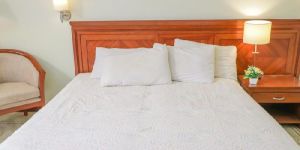 Royal White Applique Bedcover