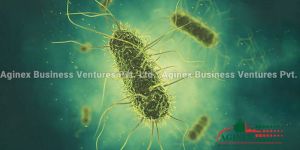 Bio Fertilizer for Plants