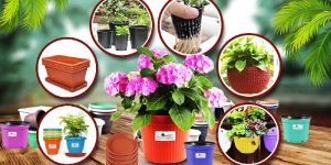 Garden Pots & Trays