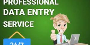 INVESTMENT BASED DATA ENRTY PROJECTS