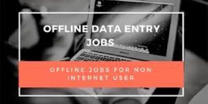 Data Entry Work Services