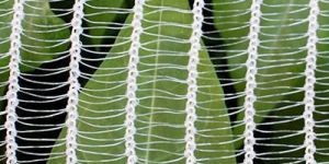 Anti Hail Net