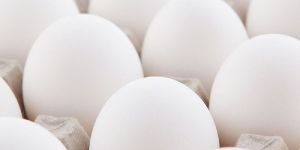 White Eggs