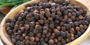 Black Pepper Extract - Piperine 95%