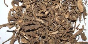 Coleus Forskohlii Extract - Coleus Extract