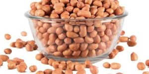 Groundnut Kernels