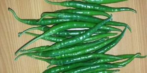 Fresh Green Chili