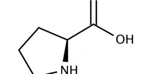 L-proline