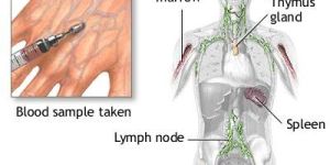 Sodium Acid Pyro Phosphate
