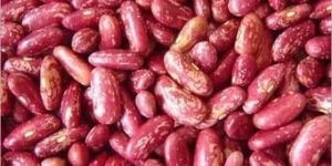 Red Speckled Kidney Beans