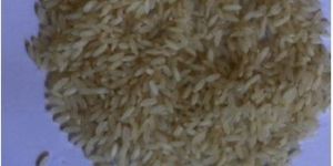Sona Masoori Steam Basmati Rice