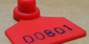 Plastic Ear Tag