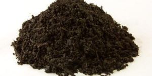 Organic Vermicompost