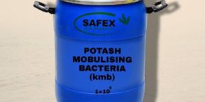 POTASH MOBULISING BACTERIA (K M B)