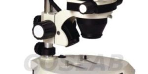 Stereo Microscope