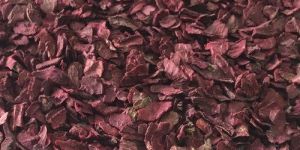 Dehydrated Beetroot
