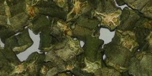 Dehydrated Okra