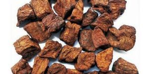 Roasted Chicory Cubes