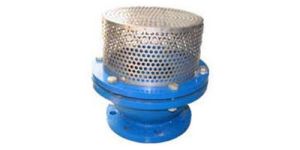 Cast Steel Foot Valve