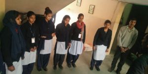 Labour Contractor Services