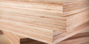 Plywood